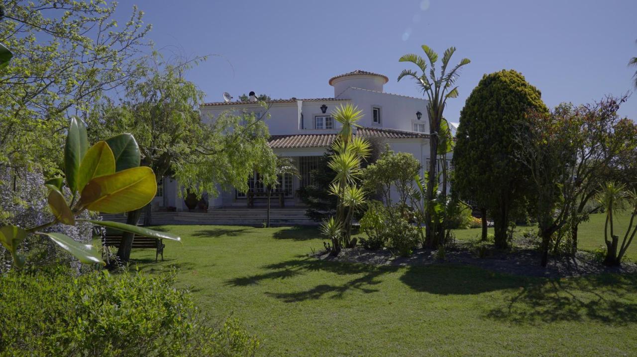 Vila Louro Santa Cruz  Kültér fotó